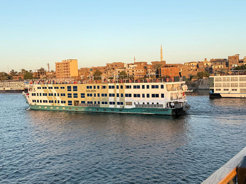 ROYAL OLIVIA SIGNATURE